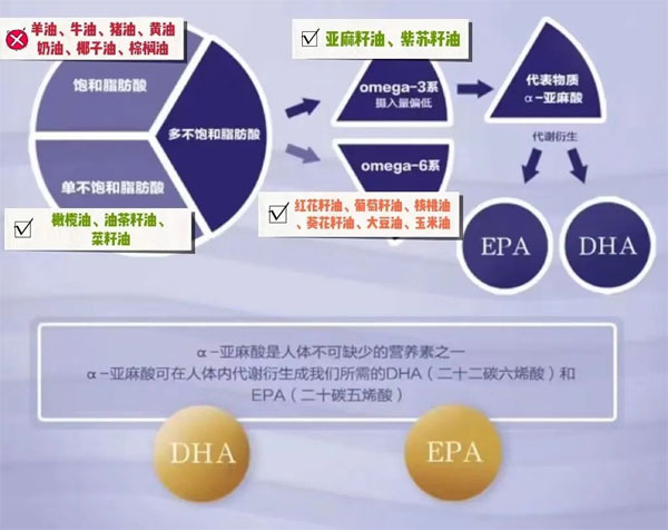 香庐州菜籽油