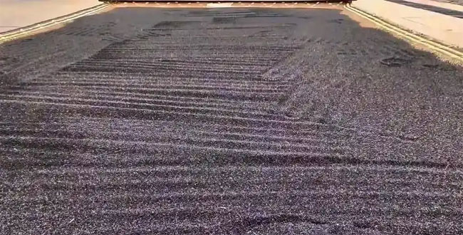 安徽农家油菜籽配送
